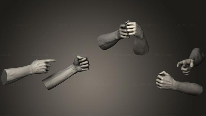 Anatomy of skeletons and skulls (Male Hands 11, ANTM_0827) 3D models for cnc